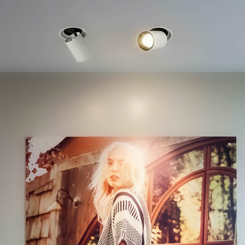 Đèn spotlight 10W xoay góc âm trần rọi tranh